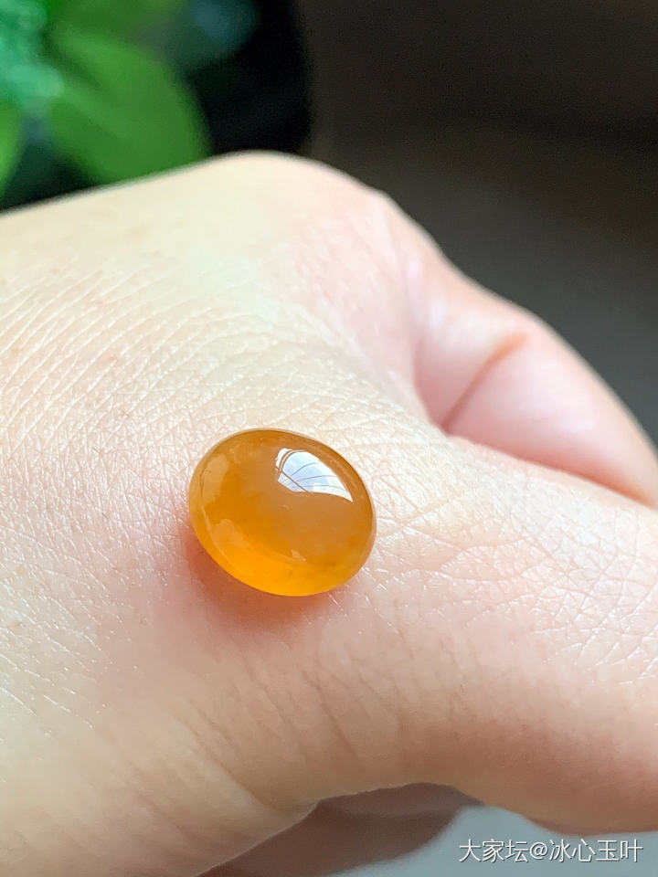 25/7/21，几颗种、水、
色都漂亮的大美蛋~_翡翠