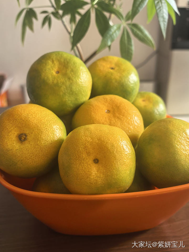 淘宝双11活动—香甜寻乌蜜橘_金