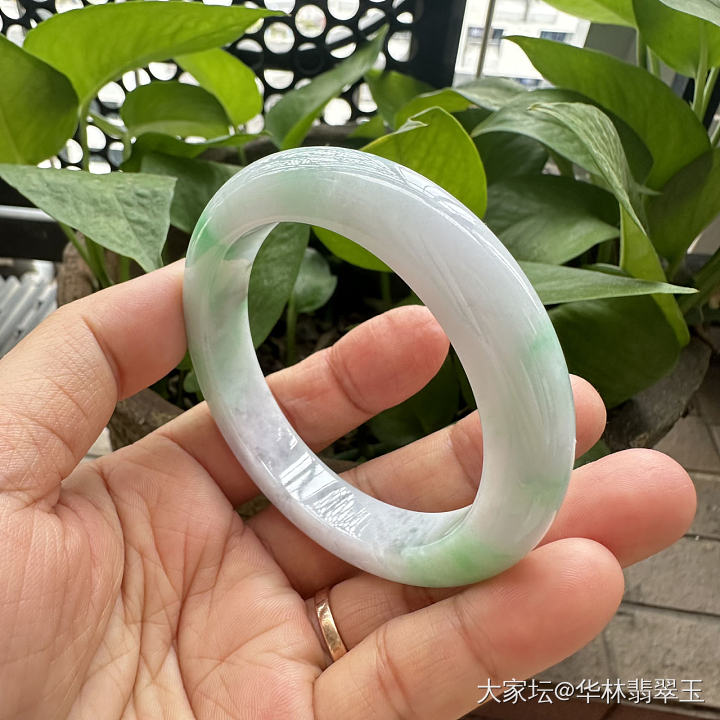 白底青翡翠手镯53.5mm_翡翠
