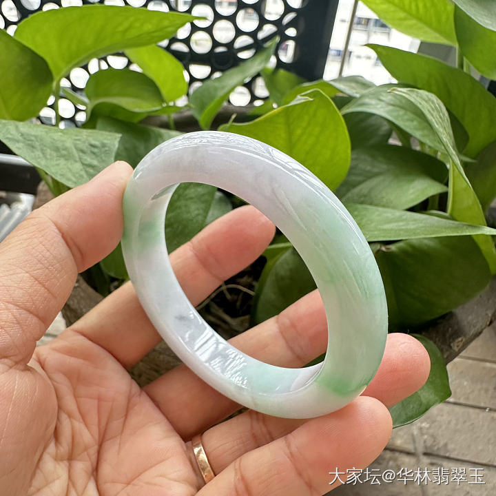 白底青翡翠手镯53.5mm_翡翠