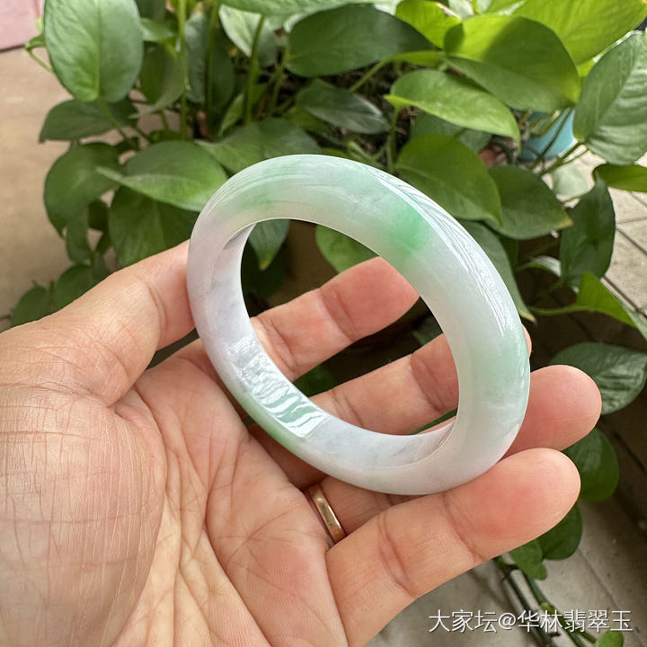 白底青翡翠手镯53.5mm_翡翠