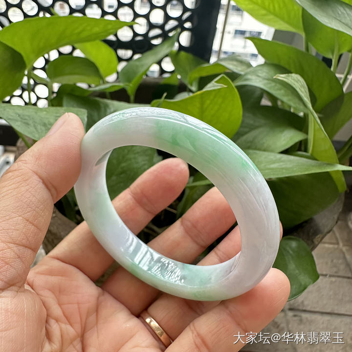 白底青翡翠手镯53.5mm_翡翠