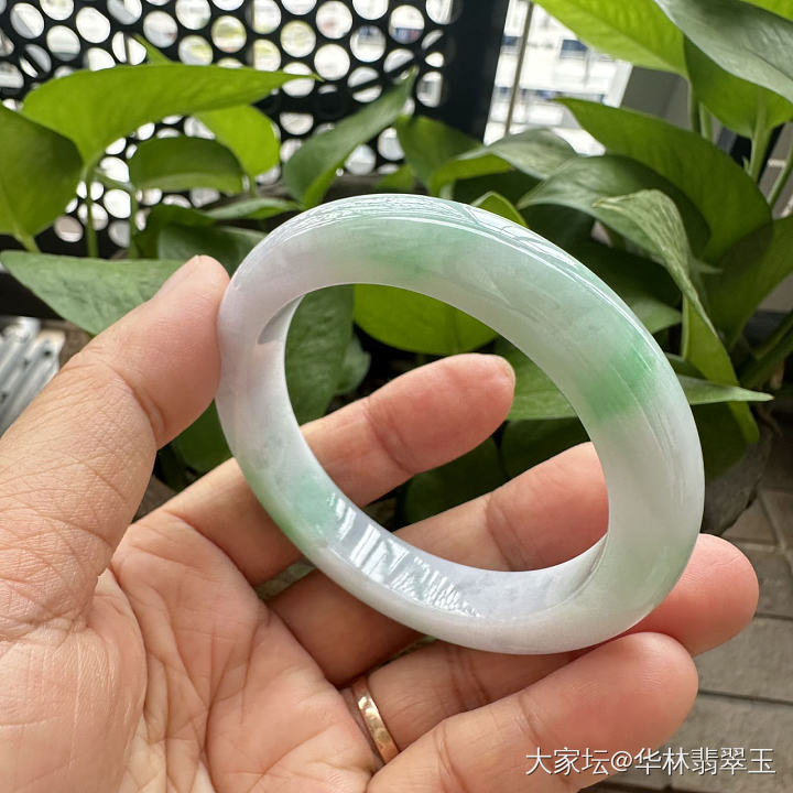 白底青翡翠手镯53.5mm_翡翠