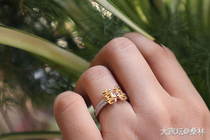 宝石矿工 囍元素系列项链戒指耳钉_金