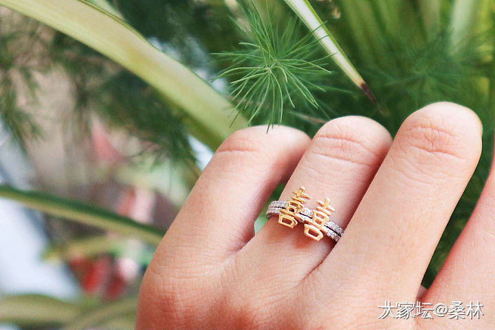 宝石矿工 囍元素系列项链戒指耳钉_金