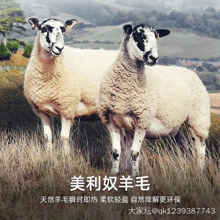 含棉，​含羊毛，含山羊绒，蓄热护膝，男女士秋冬保暖裤_品味