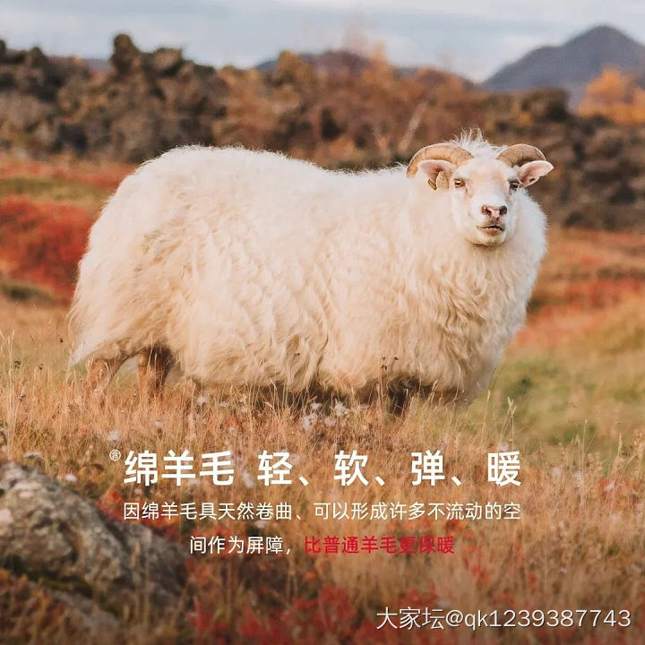 含棉，​含羊毛，含山羊绒，蓄热护膝，男女士秋冬保暖裤_品味