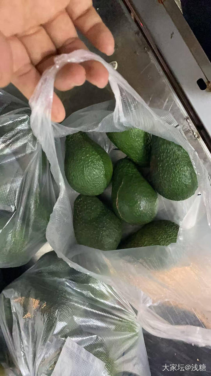 最便宜的牛油果十几块一斤，保证品质，个头大肉厚_品味