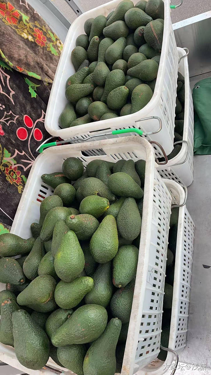 最便宜的牛油果十几块一斤，保证品质，个头大肉厚_品味