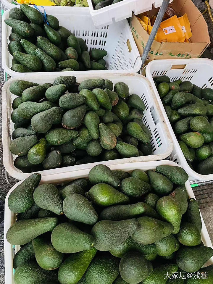 最便宜的牛油果十几块一斤，保证品质，个头大肉厚_品味