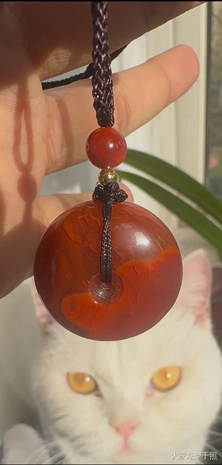 南红火焰胖平安扣_玉石