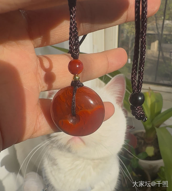 南红火焰胖平安扣_玉石