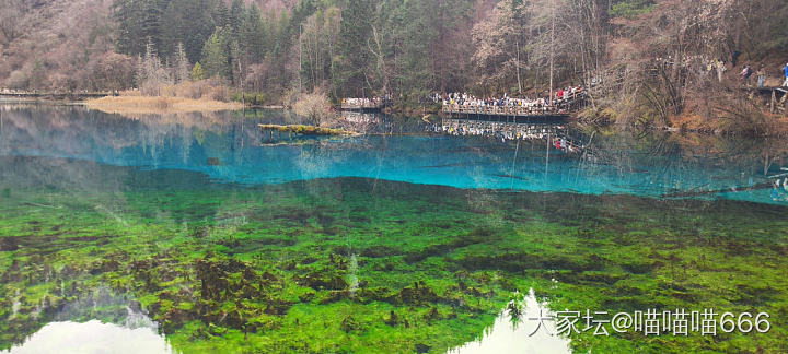 打卡黄龙 九寨沟_美食