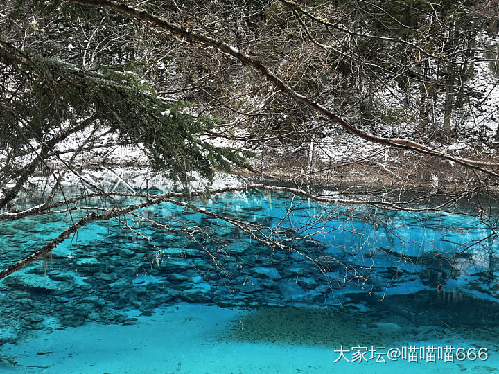 打卡黄龙 九寨沟_美食