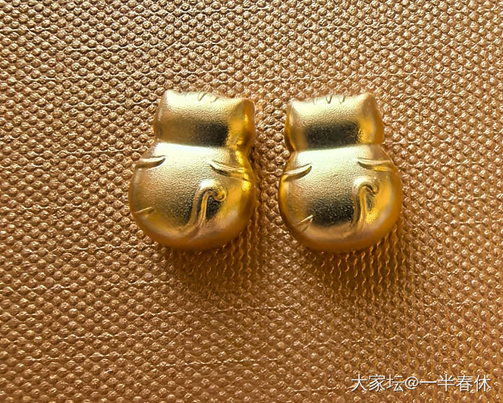 我也有小猫咪啦_金