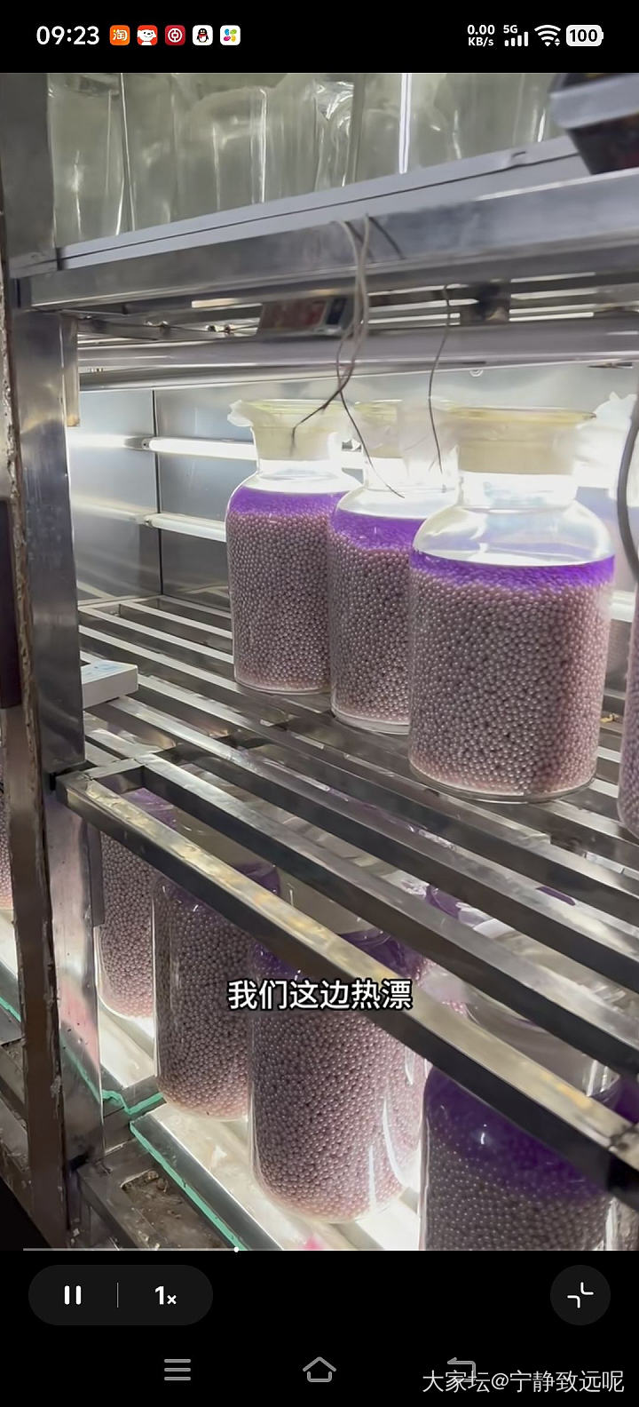 扎心了老铁，原来珍珠都要漂白的，淡水 akoya 澳白都这样....._珍珠有机宝石