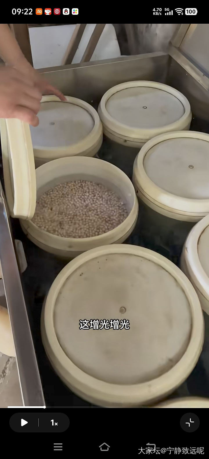 扎心了老铁，原来珍珠都要漂白的，淡水 akoya 澳白都这样....._珍珠有机宝石