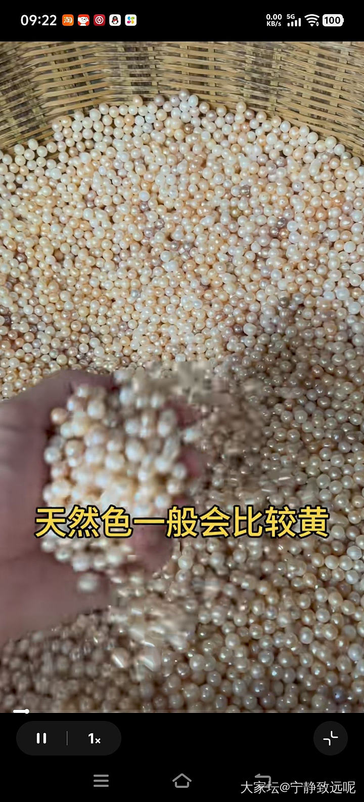 扎心了老铁，原来珍珠都要漂白的，淡水 akoya 澳白都这样....._珍珠有机宝石