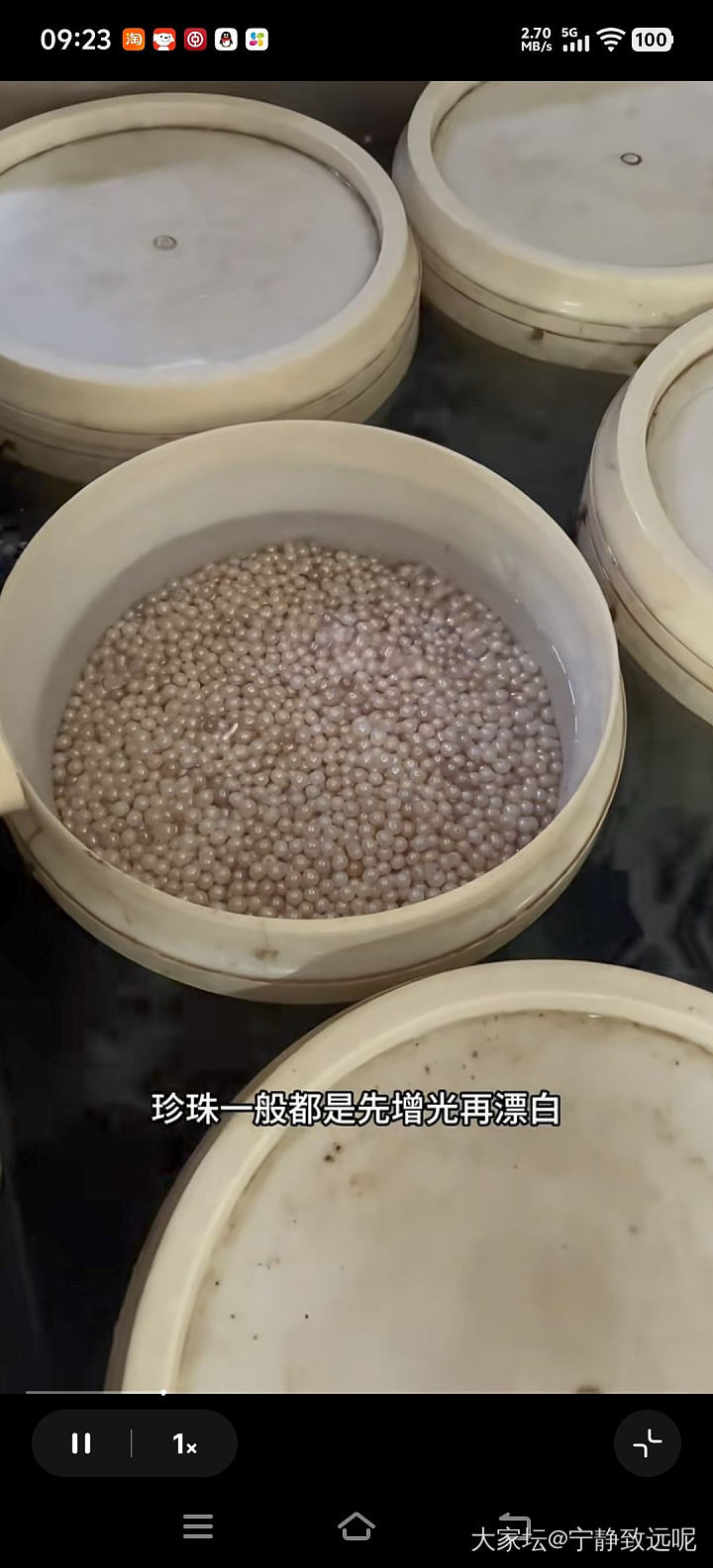 扎心了老铁，原来珍珠都要漂白的，淡水 akoya 澳白都这样....._珍珠有机宝石