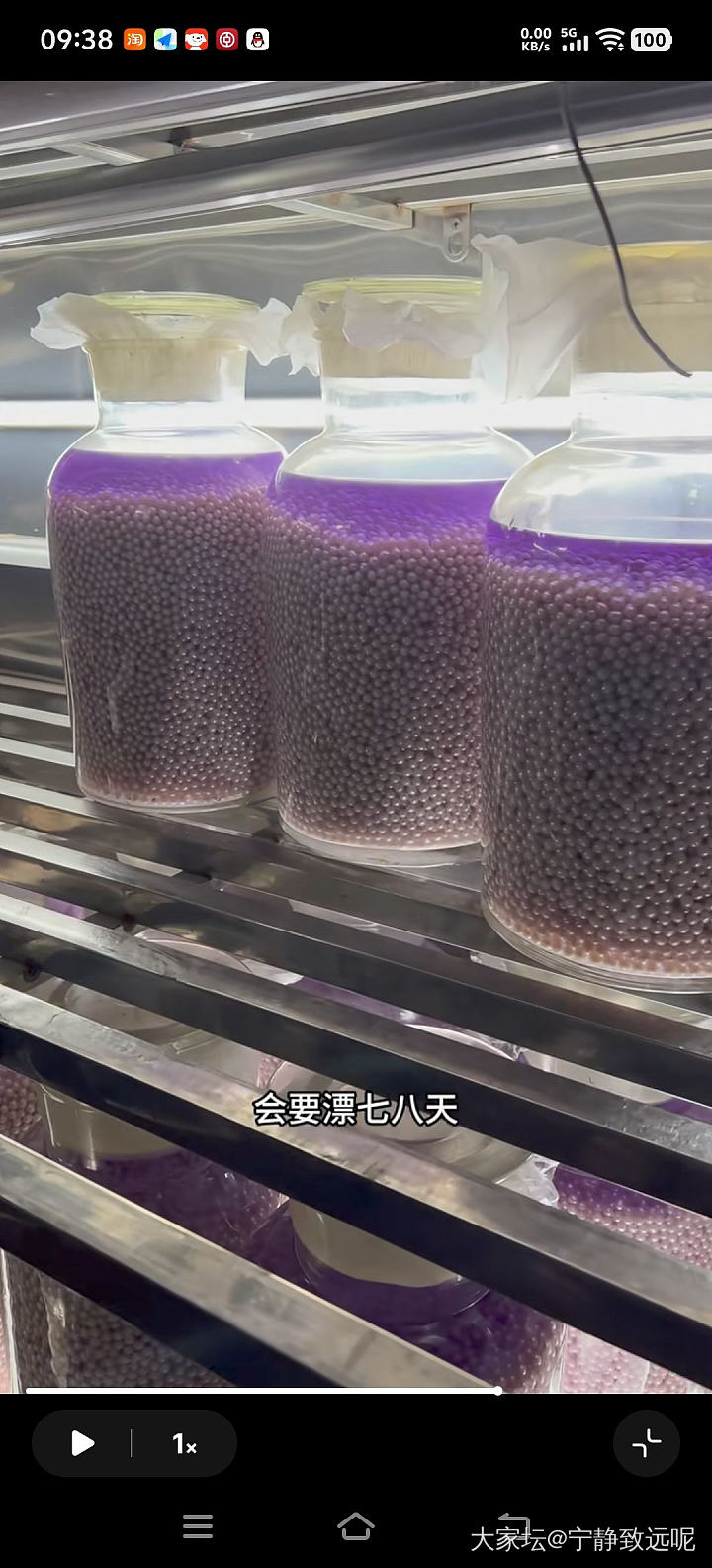 扎心了老铁，原来珍珠都要漂白的，淡水 akoya 澳白都这样....._珍珠有机宝石