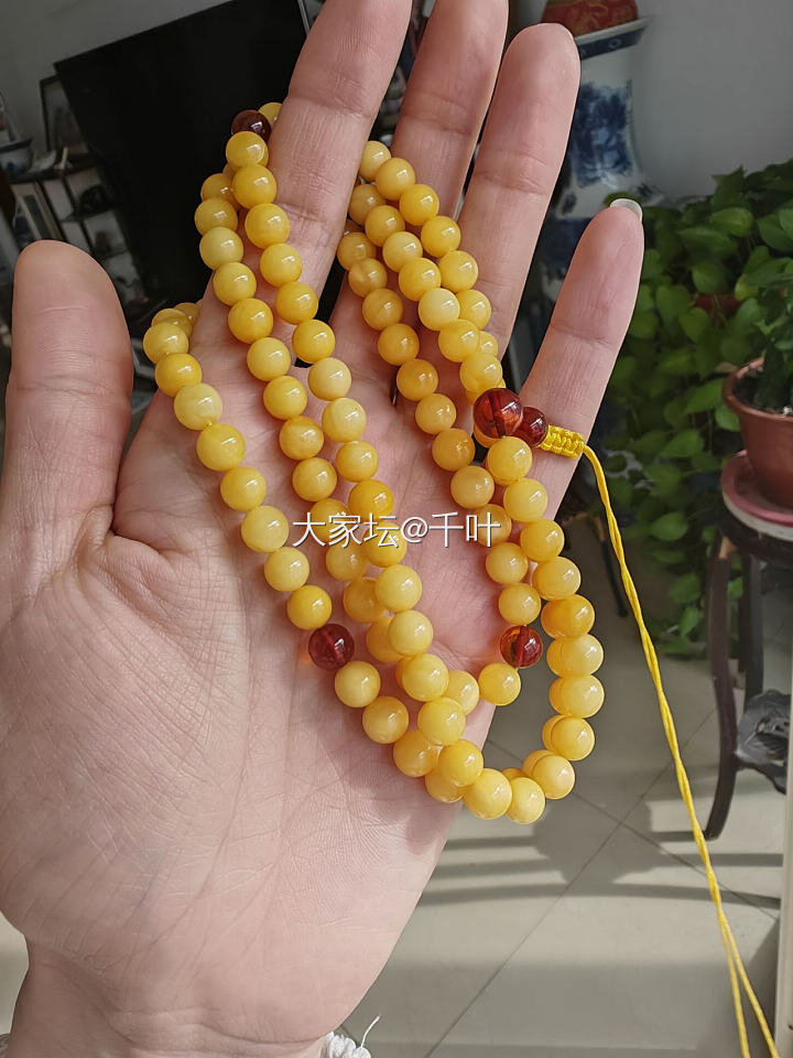 全新焦皮料蜜蜡手串_琥珀蜜蜡