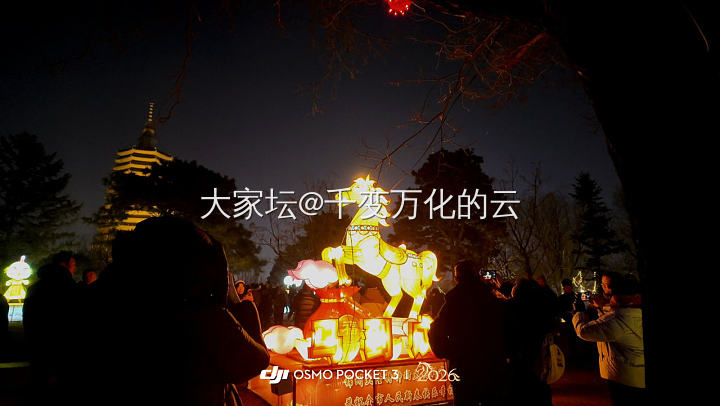 人潮里，灯海中，坛友们元宵节快乐🏮🐎_节日