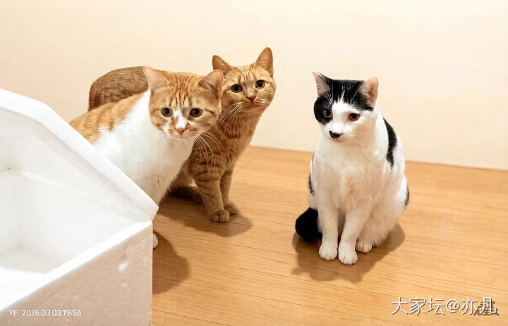 现在AI修图，实在是太方便了……_摄影丽人