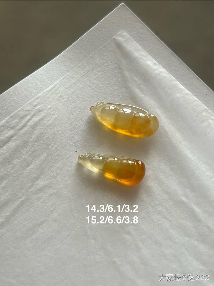 秋叶黄的豆子_翡翠
