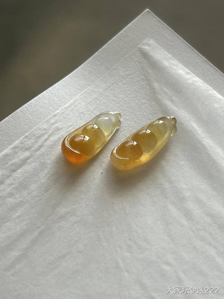 秋叶黄的豆子_翡翠