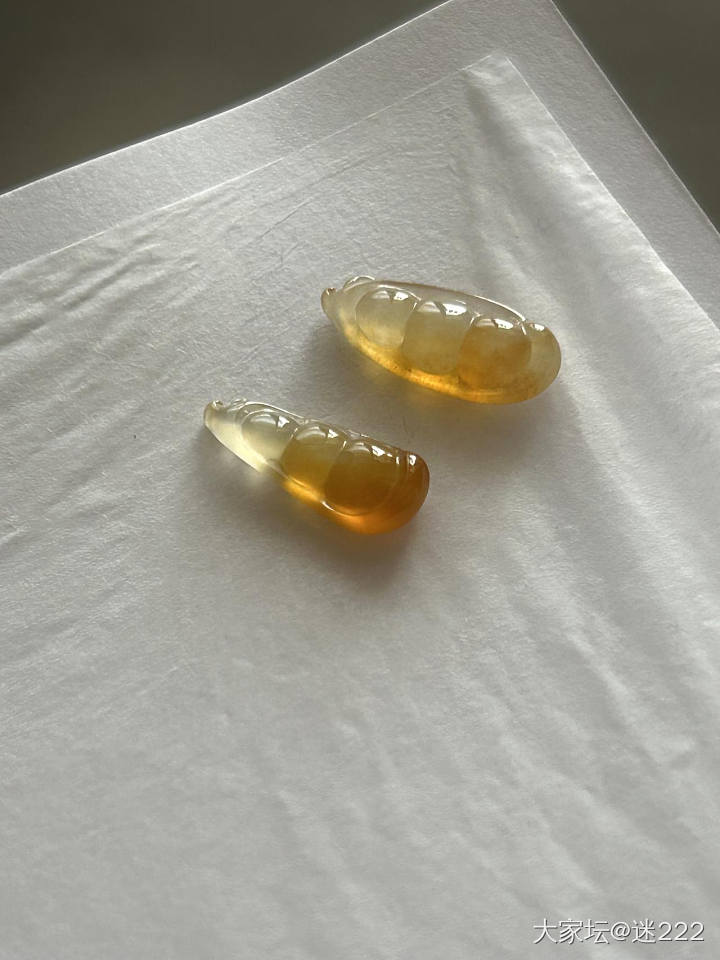 秋叶黄的豆子_翡翠