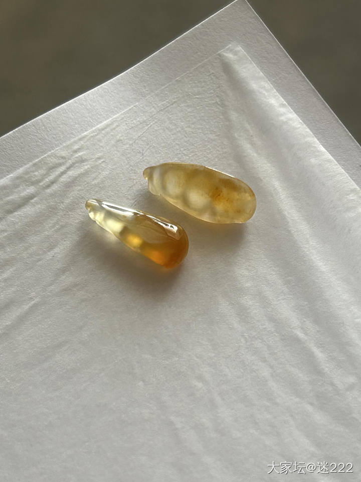秋叶黄的豆子_翡翠