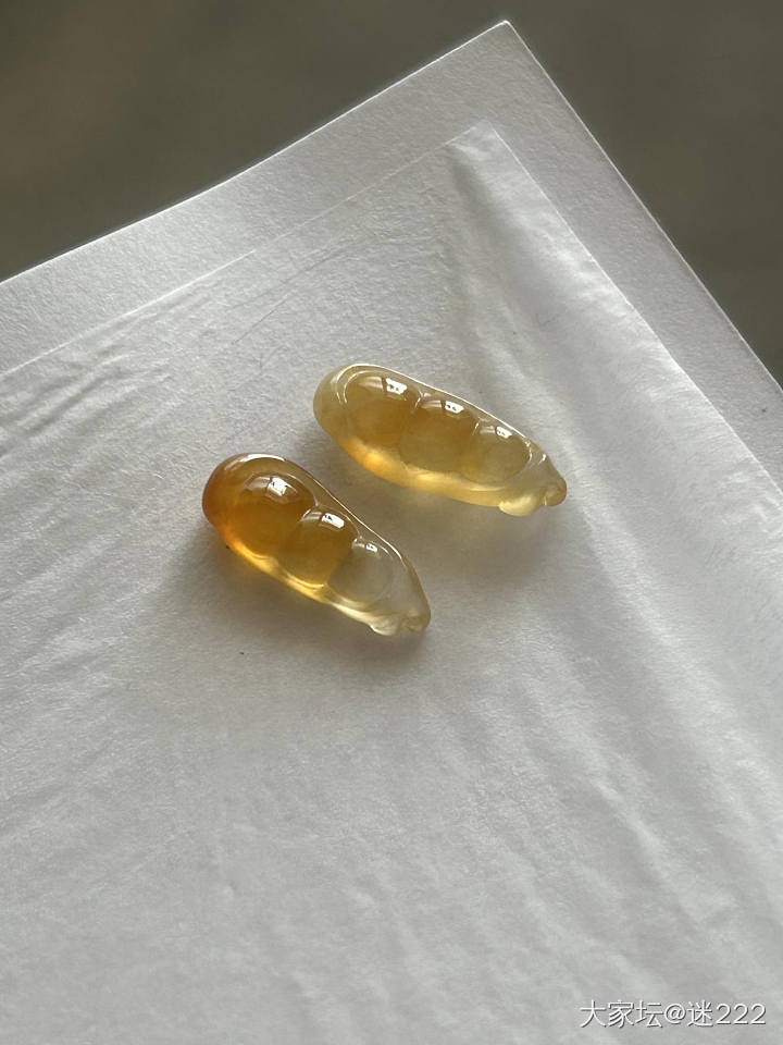 秋叶黄的豆子_翡翠