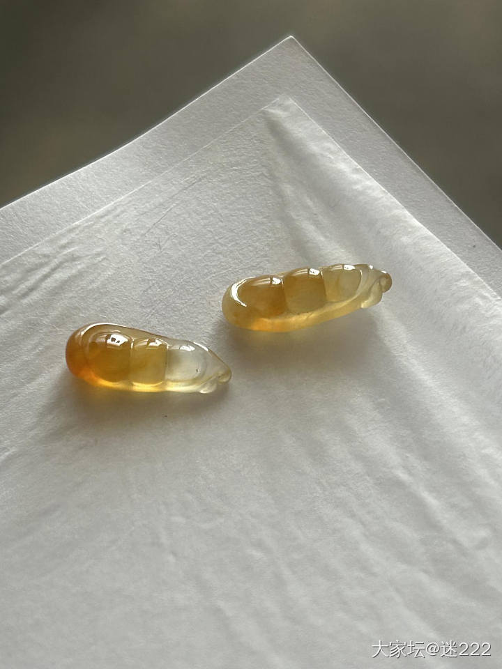 秋叶黄的豆子_翡翠
