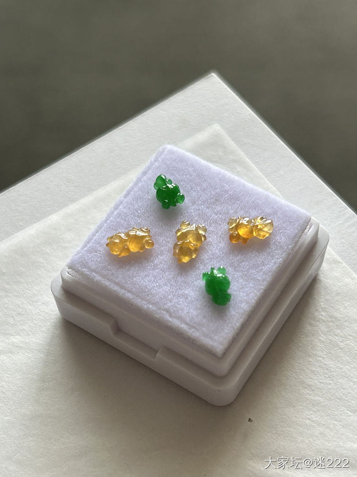 小鱼_翡翠