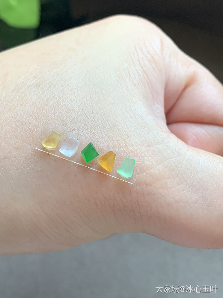 26/6/24，可爱小精品~_翡翠