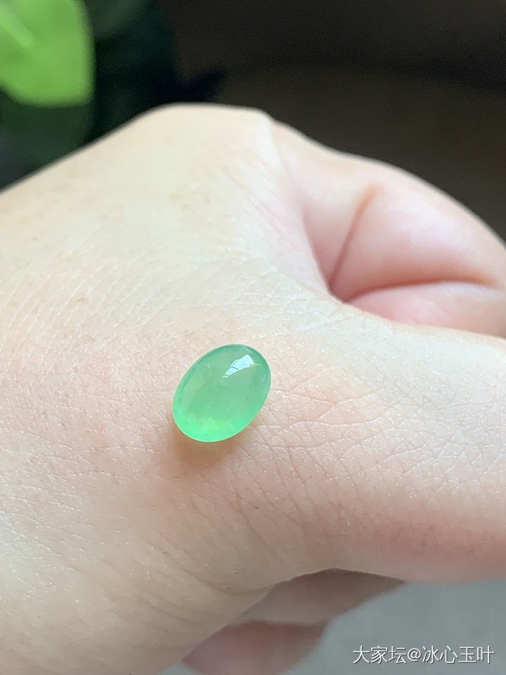 26/6/24，可爱小精品~_翡翠