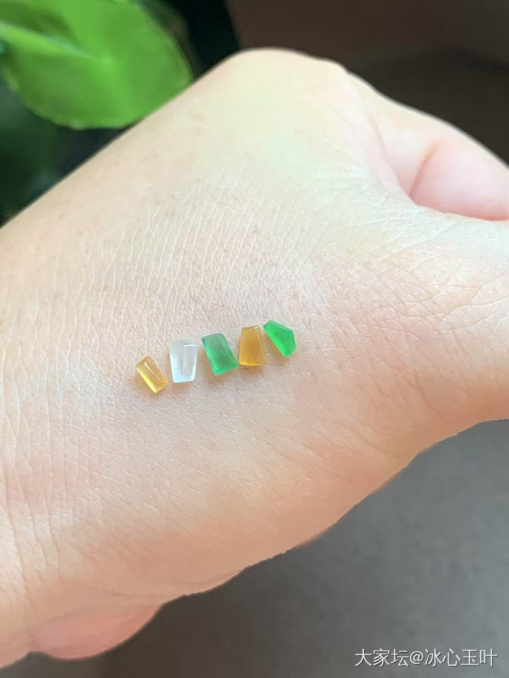 26/6/24，可爱小精品~_翡翠