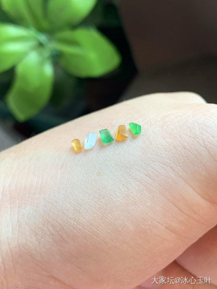 26/6/24，可爱小精品~_翡翠
