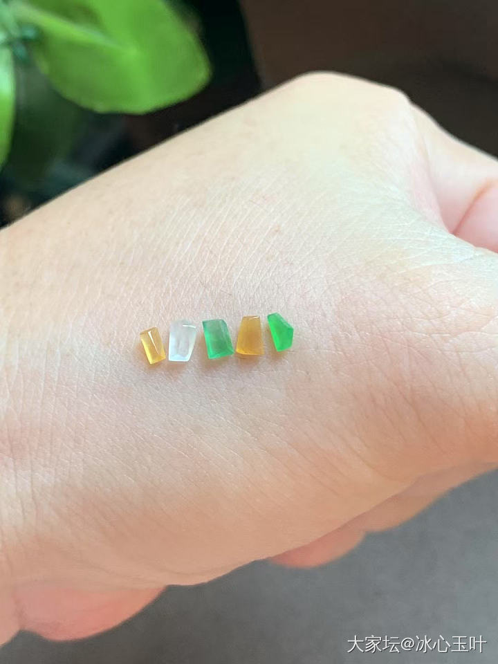 26/6/24，可爱小精品~_翡翠