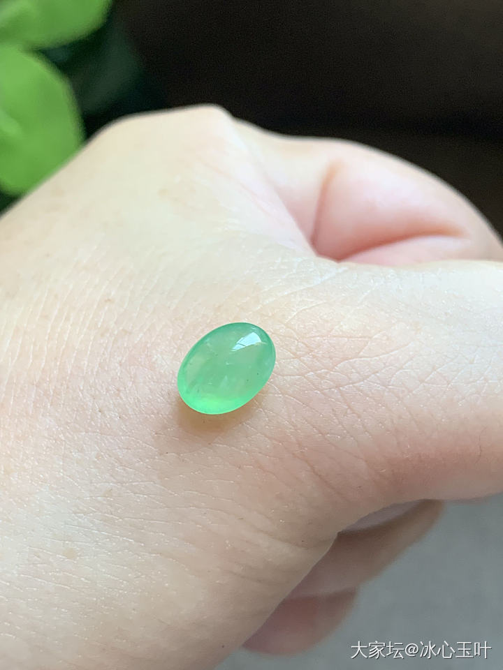 26/6/24，可爱小精品~_翡翠