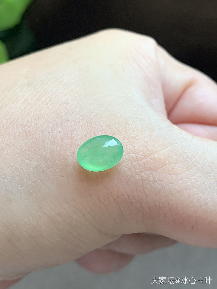 26/6/24，可爱小精品~_翡翠