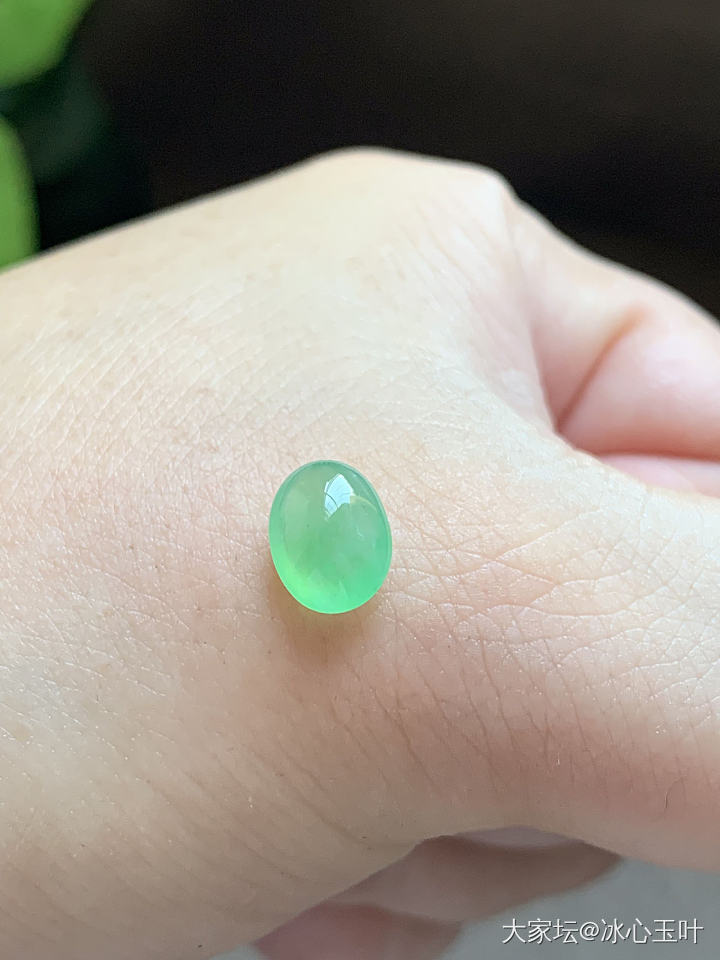 26/6/24，可爱小精品~_翡翠