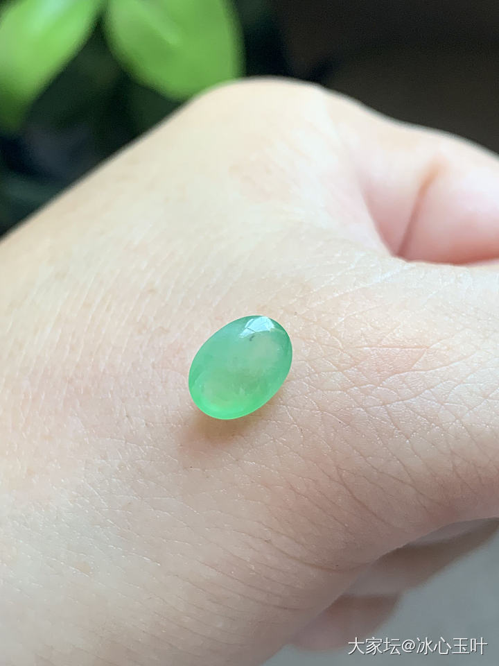 26/6/24，可爱小精品~_翡翠