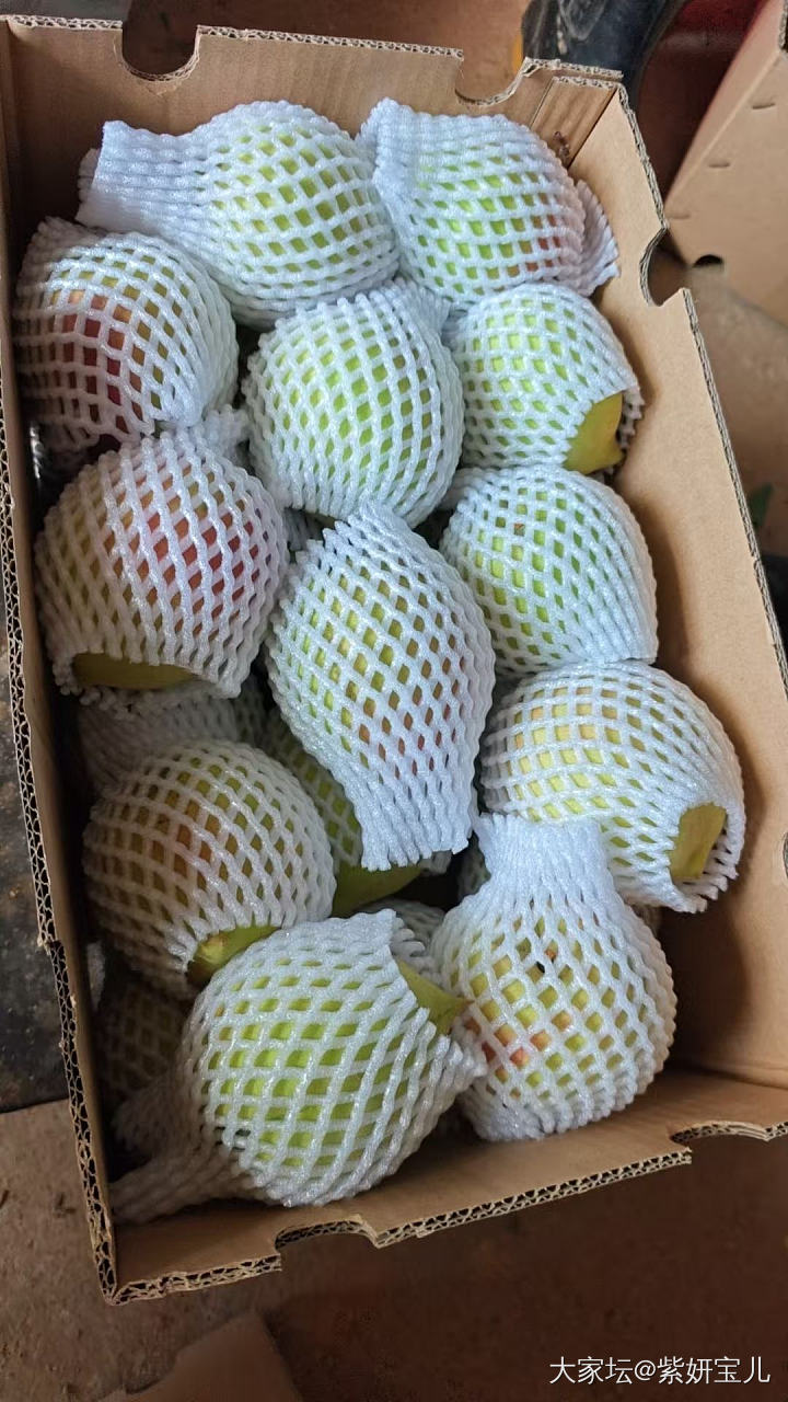脆甜鹰嘴桃_金