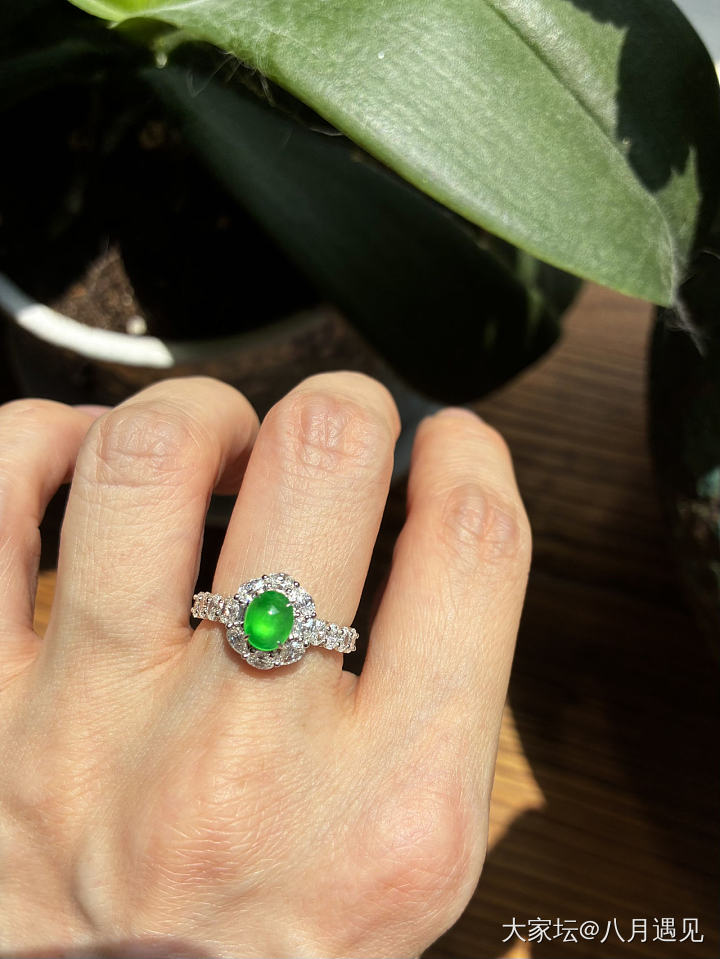 三枚小万的有种有色的绿蛋面戒指💍_翡翠