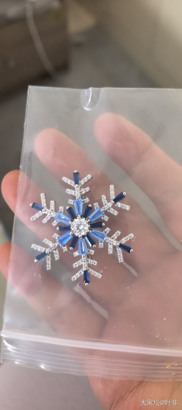 何方  替  咖啡豆银针耳钉  橄榄叶淡水珠项链_银