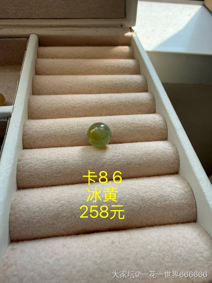 闲鱼：（吣吣果冻粒）_金