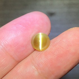 4.53克拉正圆形蜜糖金绿猫眼精品
