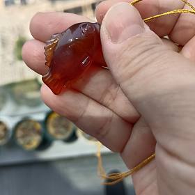 80元出一条糖心玛瑙小胖鱼