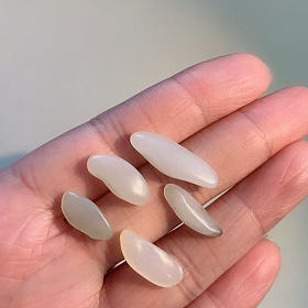 又来了，又来了～没出继续出